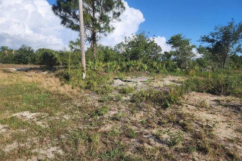 House in Lehigh Acres, Florida 3 bedrooms, 98.2 sq.m. № 1651662 - photo 17