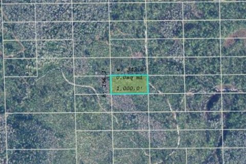 Land in Orlando, Florida № 2218734 - photo 2