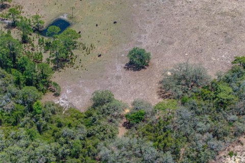 Купить виллу или дом в Хейнс-Сити, Флорида 5 комнат, 302.49м2, № 1829704 - фото 29