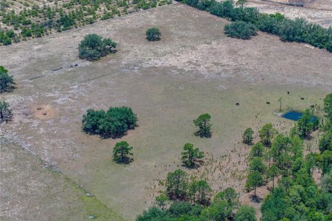 Купить виллу или дом в Хейнс-Сити, Флорида 5 комнат, 302.49м2, № 1829704 - фото 16