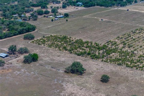Купить виллу или дом в Хейнс-Сити, Флорида 5 комнат, 302.49м2, № 1829704 - фото 24