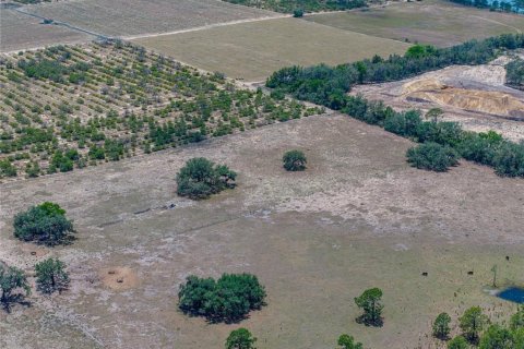 Купить виллу или дом в Хейнс-Сити, Флорида 5 комнат, 302.49м2, № 1829704 - фото 17
