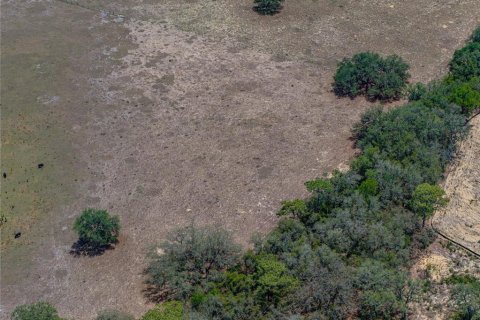 Купить виллу или дом в Хейнс-Сити, Флорида 5 комнат, 302.49м2, № 1829704 - фото 30