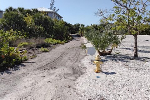 Купить виллу или дом в Пласида, Флорида 9 комнат, 114.46м2, № 2224301 - фото 2