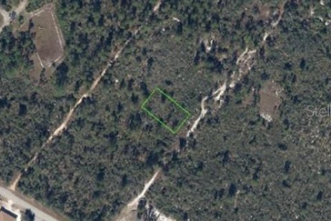 Terrain à vendre à Lake Placid, Floride № 2201685 - photo 3