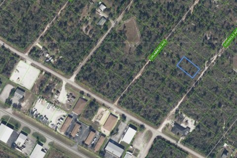 Land in Lake Placid, Florida № 2201685