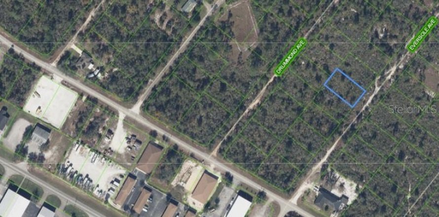 Terrain à Lake Placid, Floride № 2201685