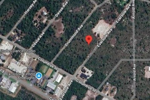 Terrain à vendre à Lake Placid, Floride № 2201685 - photo 2