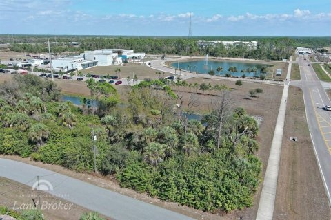 Land in North Port, Florida № 2163464 - photo 4
