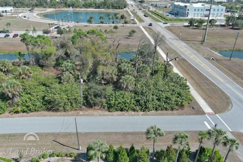 Land in North Port, Florida № 2163464 - photo 5