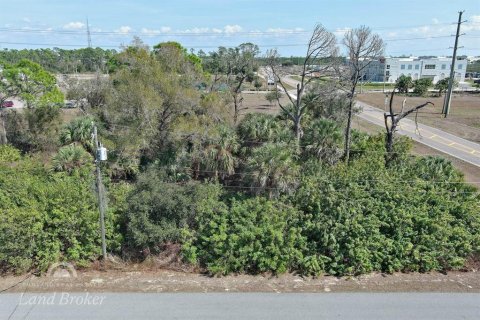 Land in North Port, Florida № 2163464 - photo 3