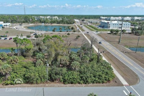 Land in North Port, Florida № 2163464 - photo 6