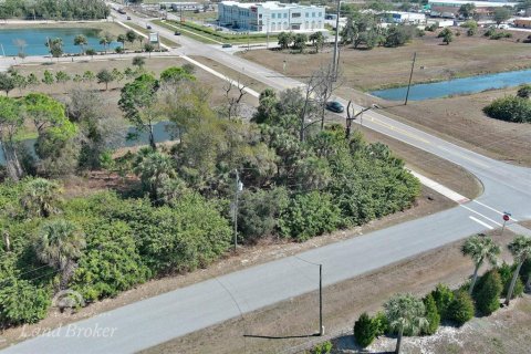 Land in North Port, Florida № 2163464 - photo 7