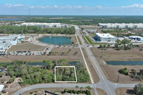 Land in North Port, Florida № 2163464 - photo 2