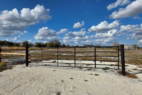 Land in Okeechobee, Florida № 2158544