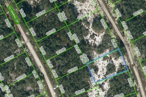 Land in Lake Placid, Florida № 2223990