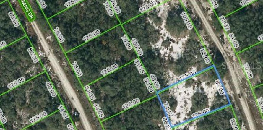 Land in Lake Placid, Florida № 2223990