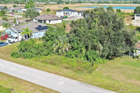 Land in Lehigh Acres, Florida № 2162656 - photo 5