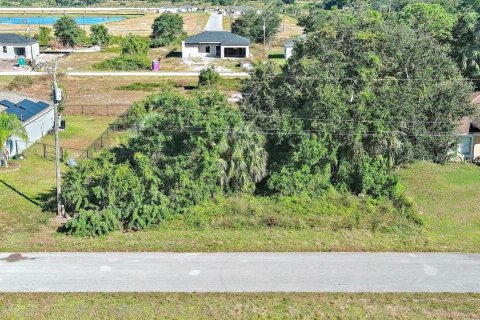 Land in Lehigh Acres, Florida № 2162656 - photo 3
