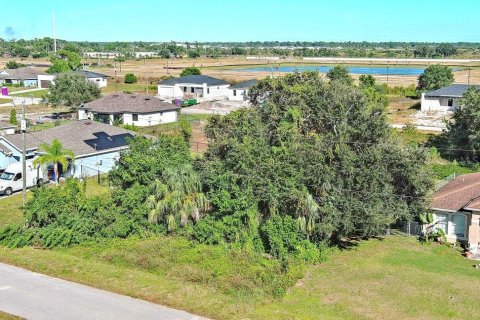 Land in Lehigh Acres, Florida № 2162656 - photo 4