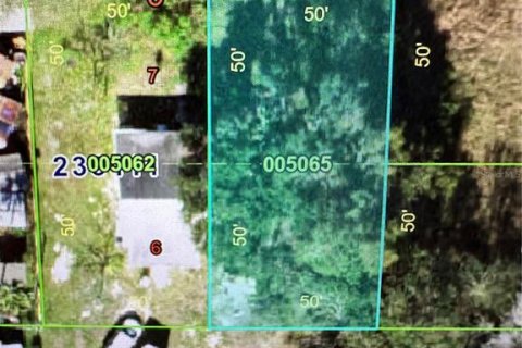 Land in Mulberry, Florida № 2159200 - photo 2