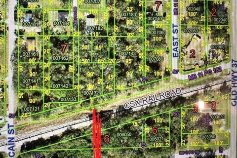 Land in Mulberry, Florida № 2159200