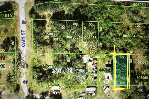 Land in Mulberry, Florida № 2159200 - photo 3