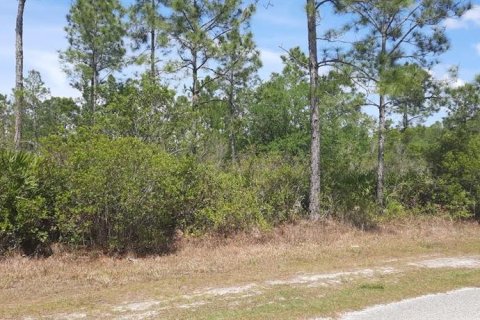 Land in Indian lake estates, Florida № 2163730