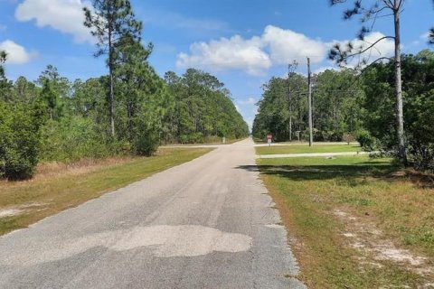 Land in Indian lake estates, Florida № 2163730 - photo 3