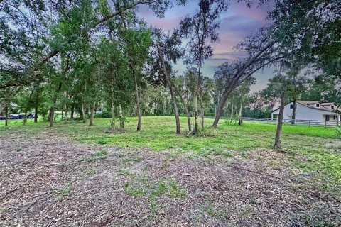 Land in Dade City, Florida № 1917337 - photo 12