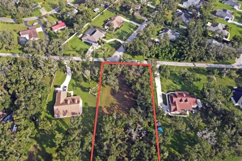 Land in Dade City, Florida № 1917337 - photo 2