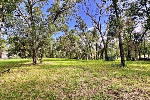 Land in Dade City, Florida № 1917337 - photo 21