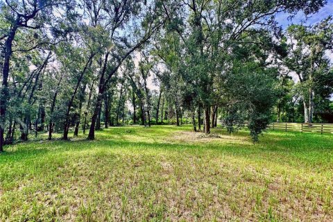 Land in Dade City, Florida № 1917337 - photo 6