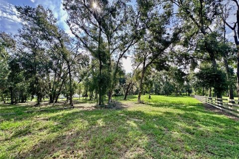 Land in Dade City, Florida № 1917337 - photo 9