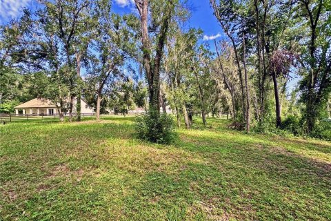 Land in Dade City, Florida № 1917337 - photo 22
