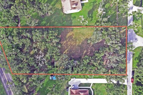 Land in Dade City, Florida № 1917337 - photo 17
