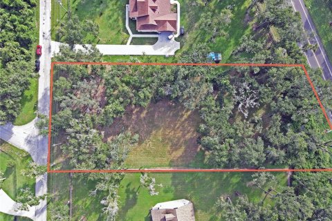 Land in Dade City, Florida № 1917337 - photo 24