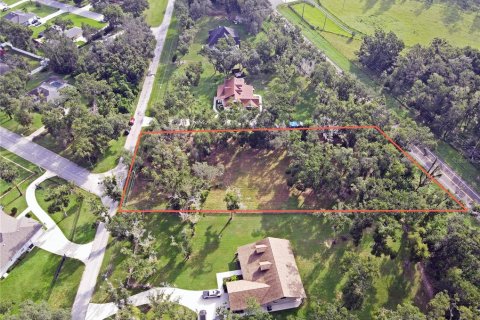 Land in Dade City, Florida № 1917337 - photo 15