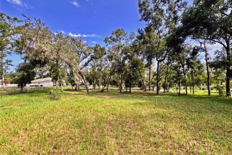 Land in Dade City, Florida № 1917337 - photo 7
