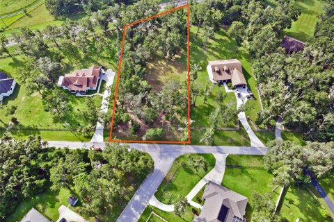 Land in Dade City, Florida № 1917337 - photo 1