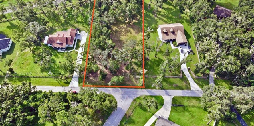 Land in Dade City, Florida № 1917337