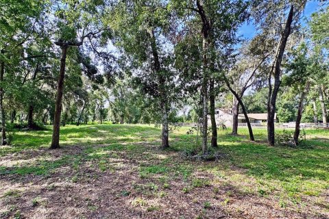 Land in Dade City, Florida № 1917337 - photo 20