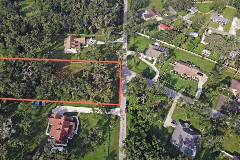 Land in Dade City, Florida № 1917337 - photo 3