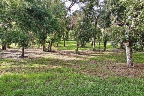 Land in Dade City, Florida № 1917337 - photo 8