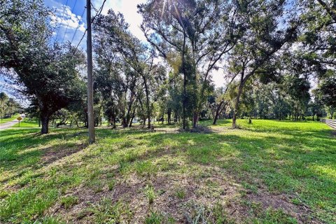 Land in Dade City, Florida № 1917337 - photo 18