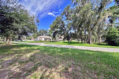 Land in Dade City, Florida № 1917337 - photo 23
