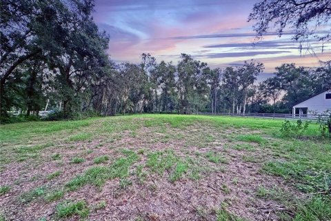 Land in Dade City, Florida № 1917337 - photo 11