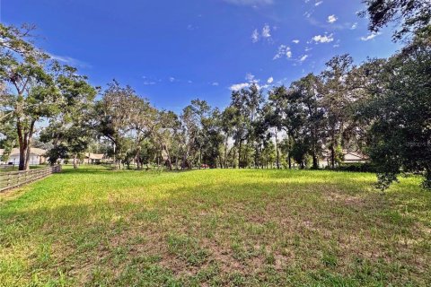 Land in Dade City, Florida № 1917337 - photo 10