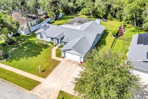 Villa ou maison à vendre à Port Orange, Floride: 3 chambres, 242.1 m2 № 2389276 - photo 2
