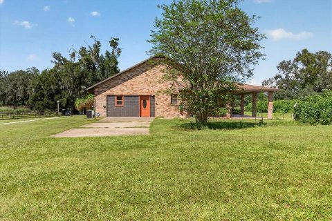 Land in Dade City, Florida № 2379384 - photo 12